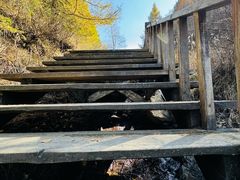 -苏木山森林公园