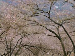 -常德桃花源景区