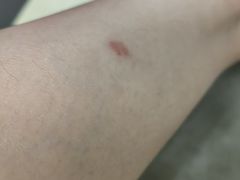 -广州粤海喜来登酒店