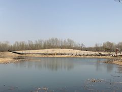 -东郊湿地公园