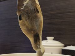 -肆月河豚·新淮扬(金融街店)