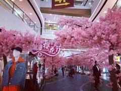-上海颛桥万达广场