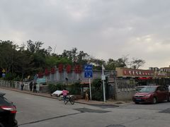 -梧桐山风景名胜区