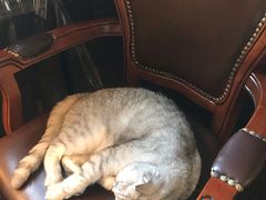 -不舍昼夜咖啡馆