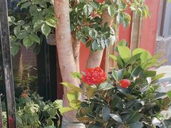 -厨艺餐厅·江西菜(省博物馆店)