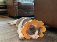 -后院儿·精酿·塔罗Happy Bar