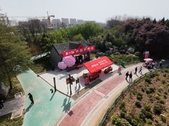 -曹州牡丹园