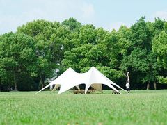 -上海共青森林公园