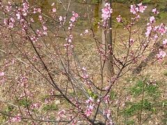 -梁家河村红色旅游区