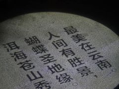 -都氏家DUSJOY(翡翠城店)