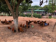 -好江南农庄·农家乐