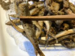 -鲁前海沿儿