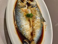 -河豚世家(江阴店)