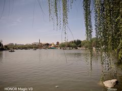 -中国翰园碑林