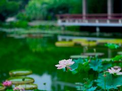 -国家植物园南园