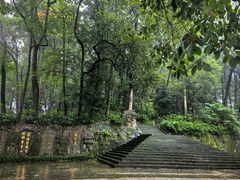 -峨眉山报国寺