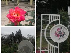 -人民公园(罗湖区)