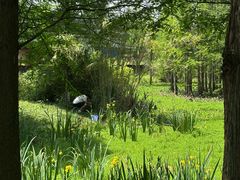-白鹭湾湿地公园