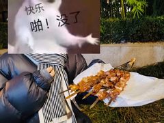-新疆阿力烧烤