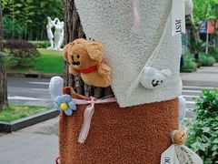 -上海市实验学校
