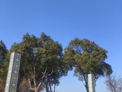 -江滩湿地公园