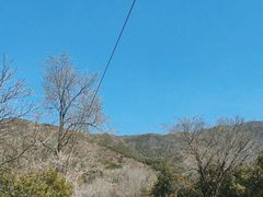 -北京十三陵国家森林公园蟒山景区