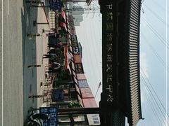 -中环花鸟鱼虫市场