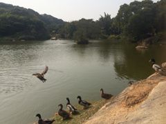 iphone_upload_pic-厦门悦华酒店