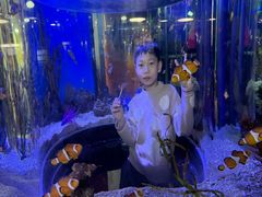 -瑞普利水族馆