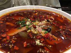 -庆合府重庆大排档(紫都城店)