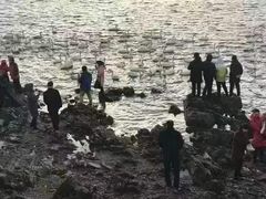 -烟墩角天鹅湖