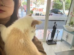 -艾吉宠物医院·疑难杂症转诊中心·猫友好(碧江路院)