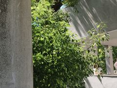 -湖北美术学院(昙华林校区)