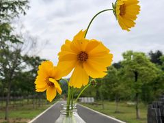 -黄陂区野村谷景区