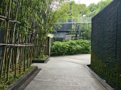 -明谷行馆·温泉