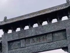-蟹芆三馄饨