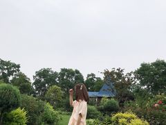 -杭州湾海上花田景区