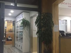 -爱侣宠医·鹦鹉专科·小型哺乳类·异宠专科(灵石路店)