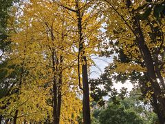-双拥公园