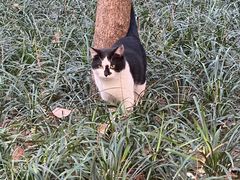 -成都市活水公园