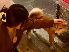 -鹿萤季·营地小馆(皇后公园店)