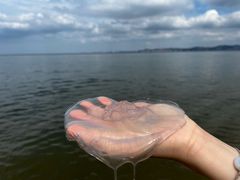 -海源公园