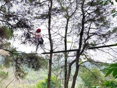 -芦仙山景区-飞越丛林探险乐园
