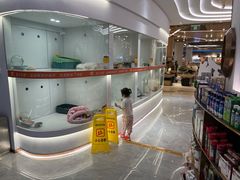 -1013 PET SHOP精品宠物商店(丁香店)