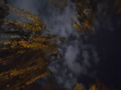 -西安曲江寒窑遗址公园