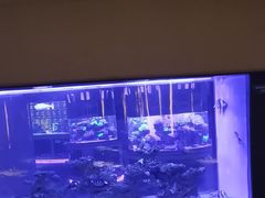 -上和臻品中国菜(花园街店)