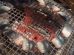 -樱嘢·炭火烧肉(惠南店)