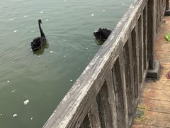 -无锡动物园·太湖欢乐园