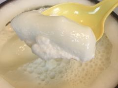-志龙皇冠吃货椰子铺