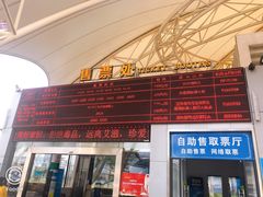 -澳门环岛游湾仔码头